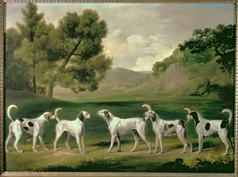 Foxhoundi v krajině, 1762